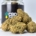 Flores de CBD Indoor Glass House - CBDFLOWERS