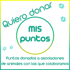 todos.a